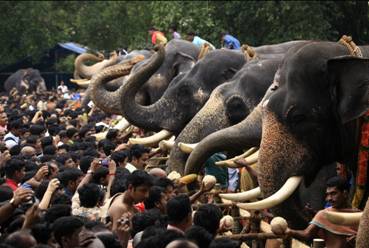 インド 撮影コーディネーター